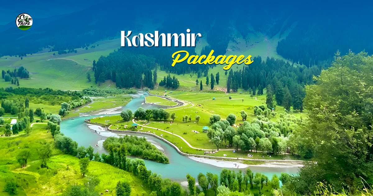 Kashmir tour packages from Delhi